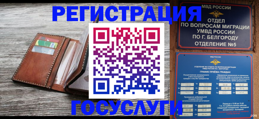 временная регистрация гарантия в Куртамыше